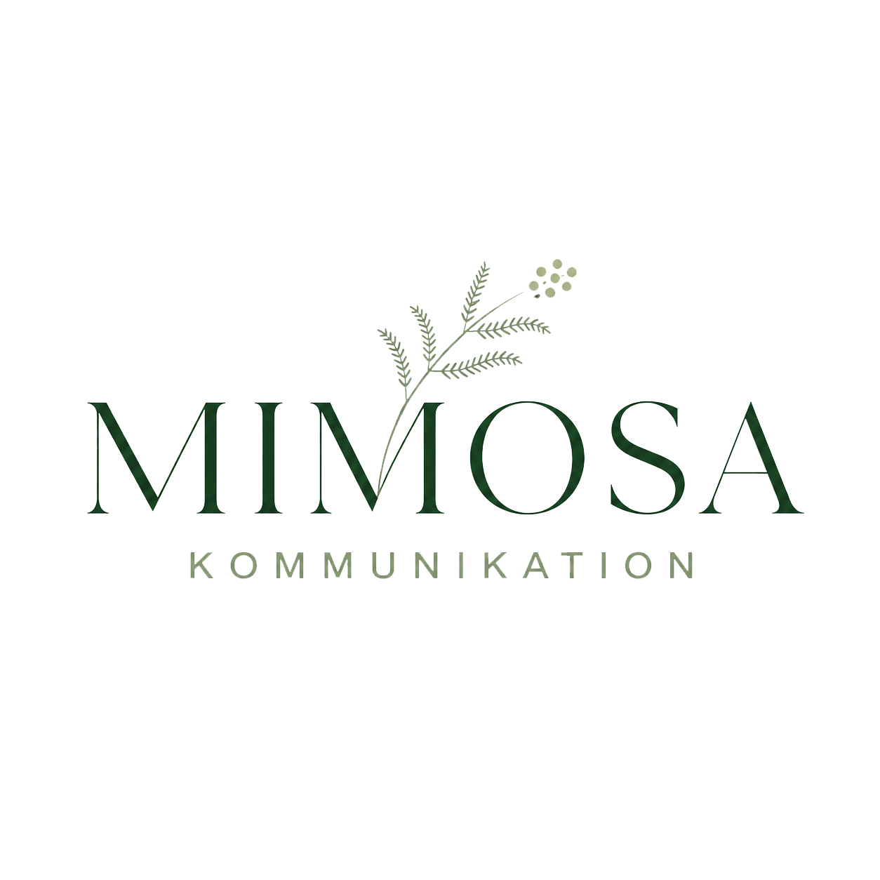 MIMOSA Kommunikation